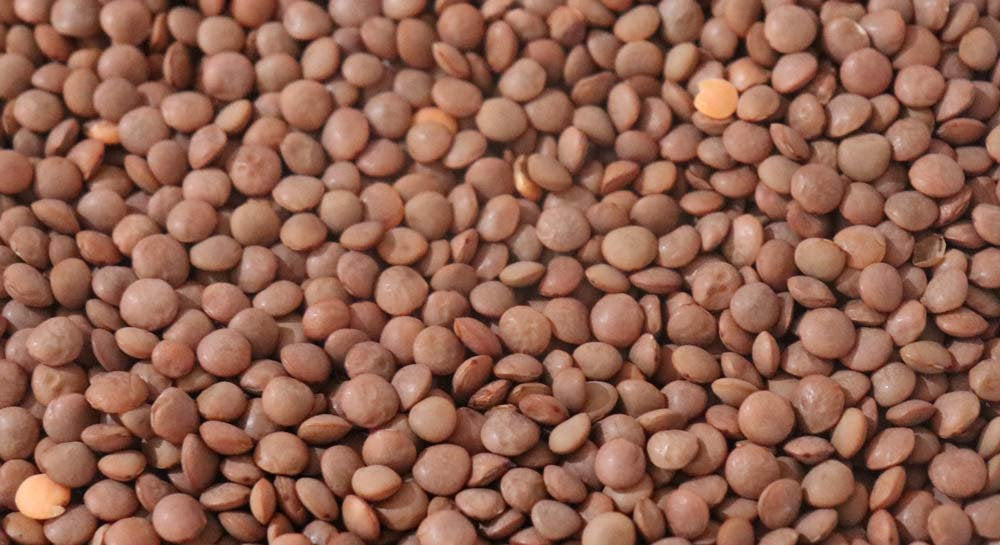LENTIL SEEDS