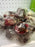 Fresh Kola nuts