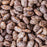 PINTO BEANS
