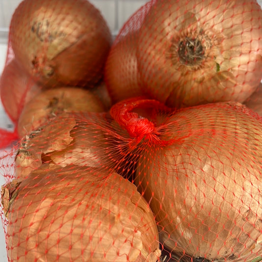 Fresh  brown onion