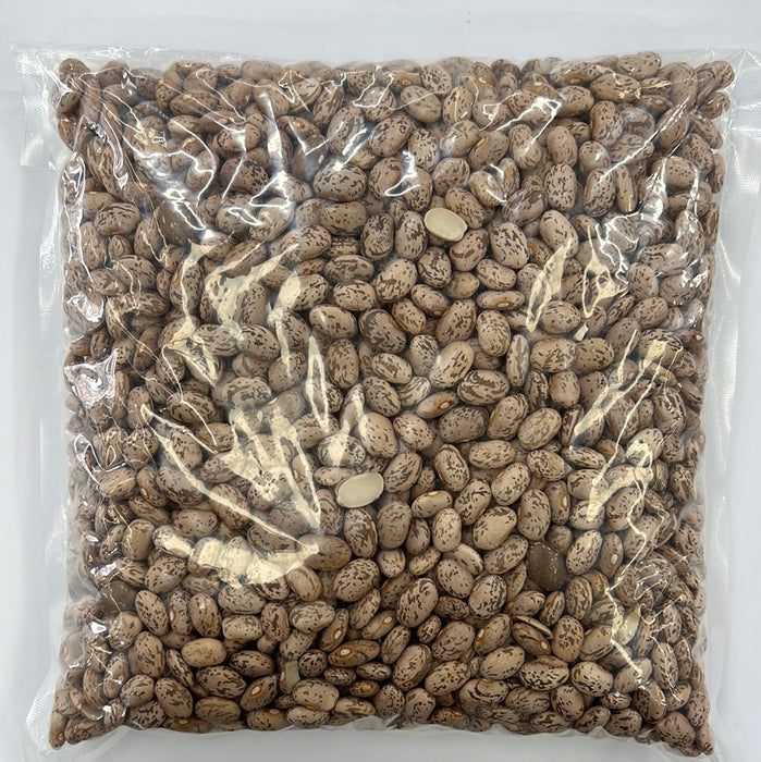 PINTO BEANS
