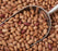 Borlotti Beans