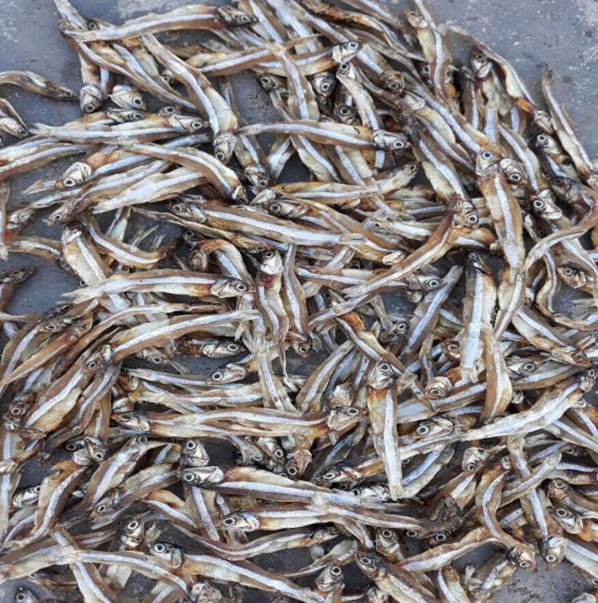 SUN DRIED FISH ( DAGA – Douty African Online