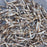 SUN DRIED FISH ( DAGA )