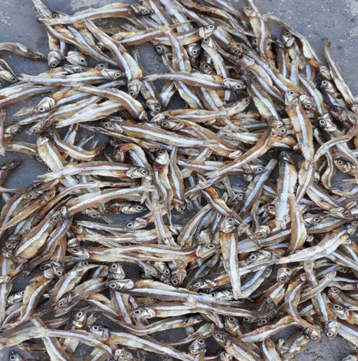 SUN DRIED FISH ( DAGA )