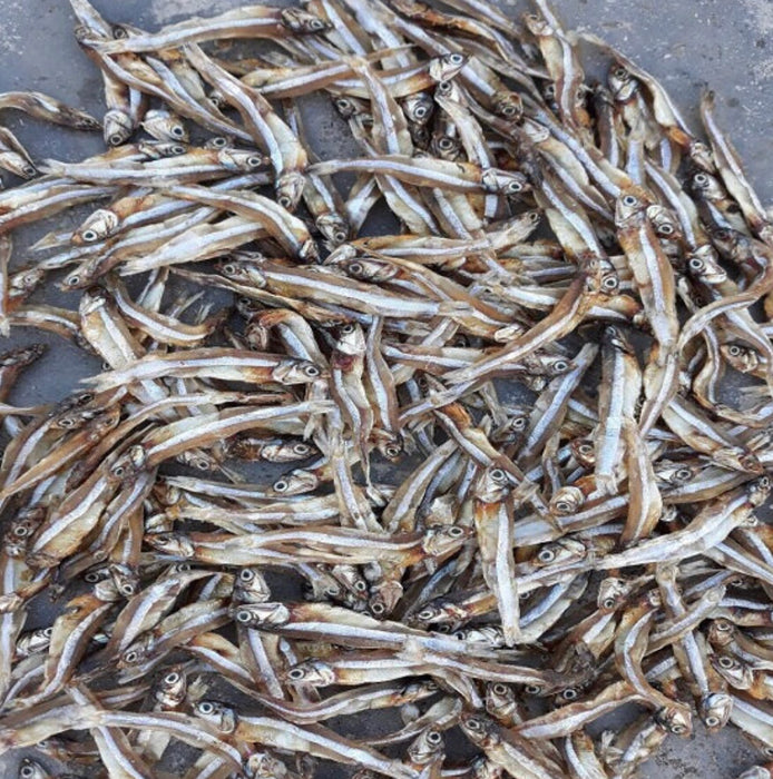 SUN DRIED FISH ( DAGA )