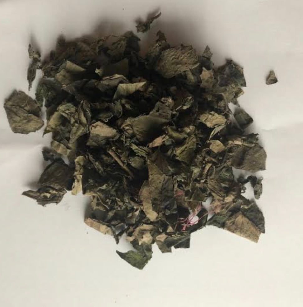 NEW AGE  UTAZI LEAF