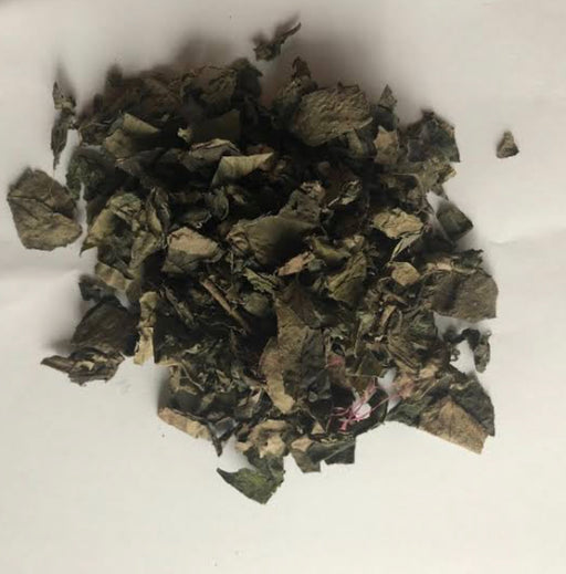 NEW AGE  UTAZI LEAF