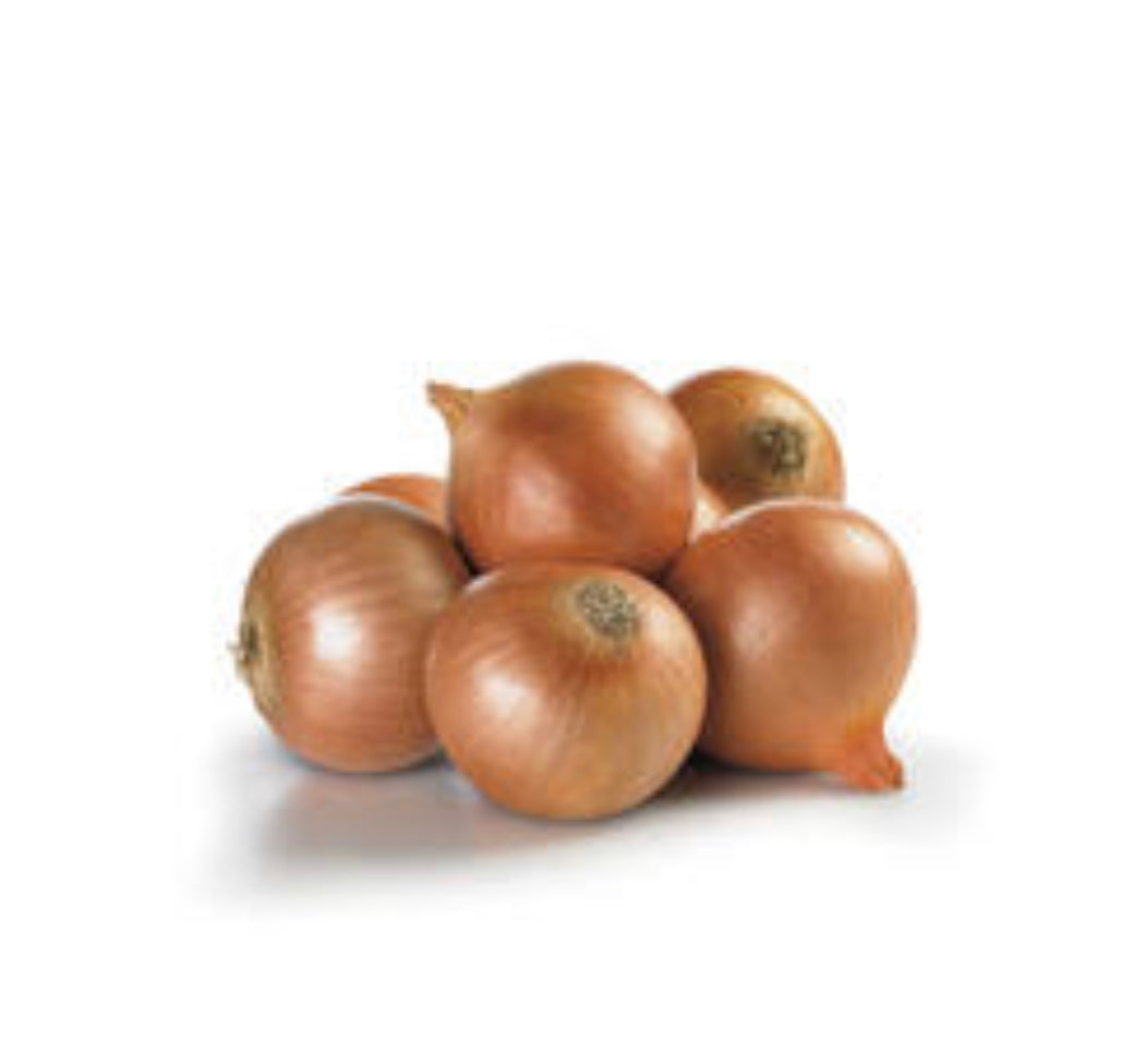 Fresh  brown onion
